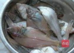 干煎偏口鱼的做法图解4