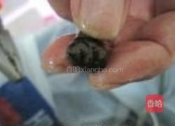 香辣田螺的做法图解4