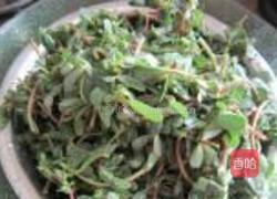 蒜泥马齿苋的做法图解1