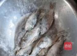 木耳烧鲫鱼的做法图解3