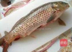 清蒸鲤鱼的做法图解2