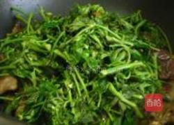 香椿芽炒鸡心的做法图解8