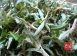 凉拌苦苦菜的做法图解1