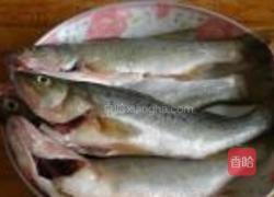 清炖小鲈鱼的做法图解1