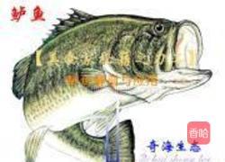 葱姜剁椒蒸鲈鱼的做法图解8