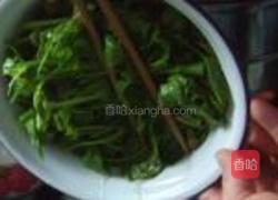 盐渍香椿的做法图解12