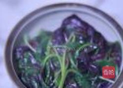 上汤苋菜的做法图解4