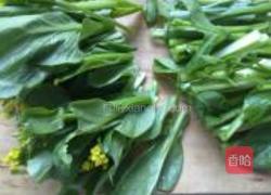 清炒菜心的做法图解2