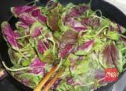 蒜香红苋菜的做法图解3