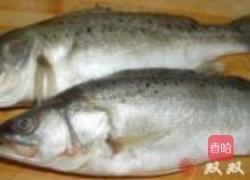 香辣烤鱼的做法图解1