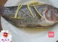 红烧罗非鱼的做法图解2