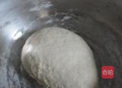 香椿扇贝水煎饺的做法图解2