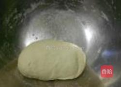 高丽菜煎包的做法图解2