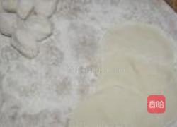 油菜虾仁水饺的做法图解5