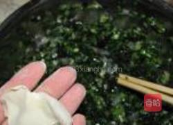 油菜虾仁水饺的做法图解7