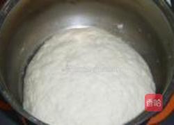 香菜肉馅大包子的做法图解8
