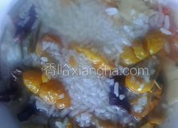 苦子果酸木瓜汤饭