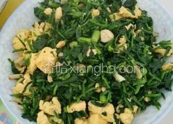 菠菜炒鸡蛋