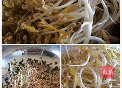绿豆芽的做法图解7