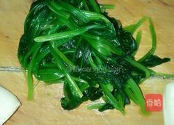 凉拌菠菜的做法图解3
