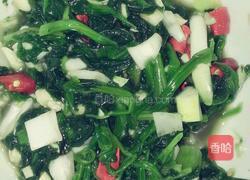 凉拌菠菜的做法图解4