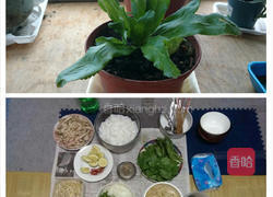 越南鸡肉河粉的做法图解7