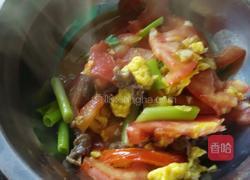 番茄炒鸡蛋的做法图解11