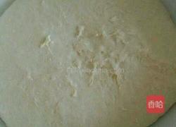 艽菜馅饼的做法图解3