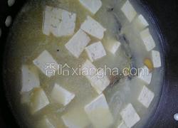 黄辣丁熬豆腐。