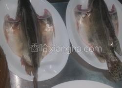 清蒸桂鱼