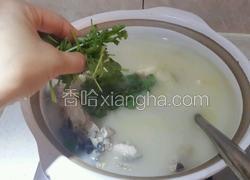 鱼头豆腐汤