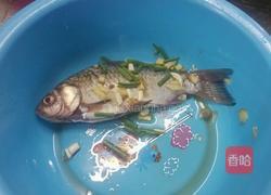红烧鲫鱼的做法图解1