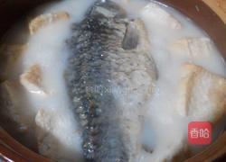 鲫鱼豆腐汤的做法图解5