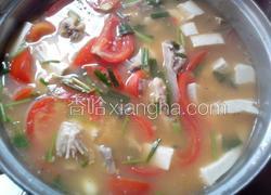 番茄白豆腐鱼头汤