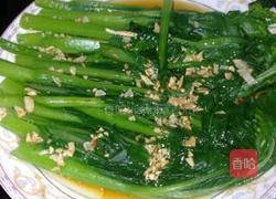 蒜蓉菜心的做法图解7