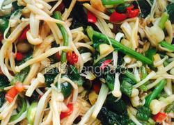 凉拌金针菇菠菜