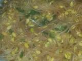 炒黄豆芽
