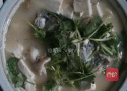 鱼头豆腐汤的做法图解5