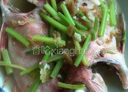 冬菜焖大眼鸡鱼