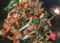 平菇肉片小炒的做法图解9
