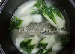 鲫鱼小白菜汤