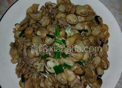 草菇炒肉