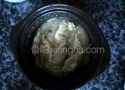 酸梅猫尾鱼