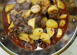 有奖征文（土豆烧牛腩）