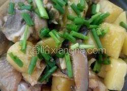 香菇土豆焖鸡