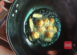 素丸子的做法图解6