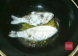 鲫鱼豆腐汤的做法图解6