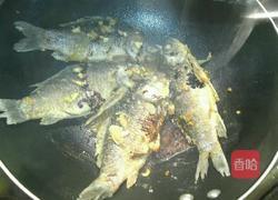 鲫鱼豆腐汤的做法图解12