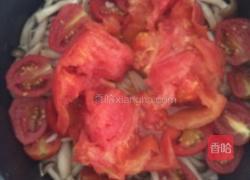番茄饭的做法图解5