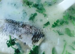 野生鲫鱼冬瓜汤